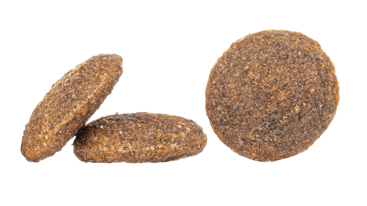 Happy Dog France Dog Food