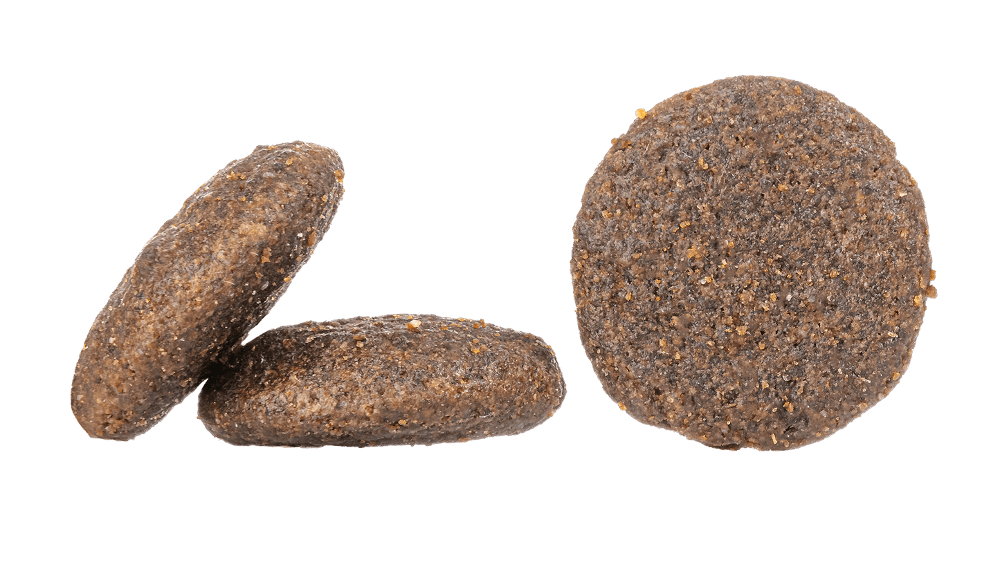 Happy Dog Canada Dog Food