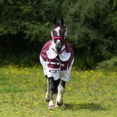 Trojan Xtra Hybrid Combo Fly rug