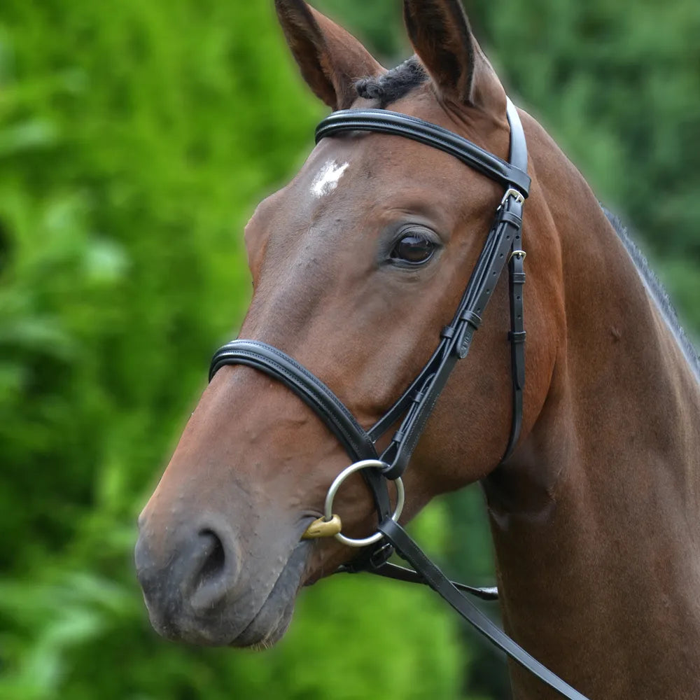 Hy Equestrian Padded Cavesson Bridle with Rubber Reins