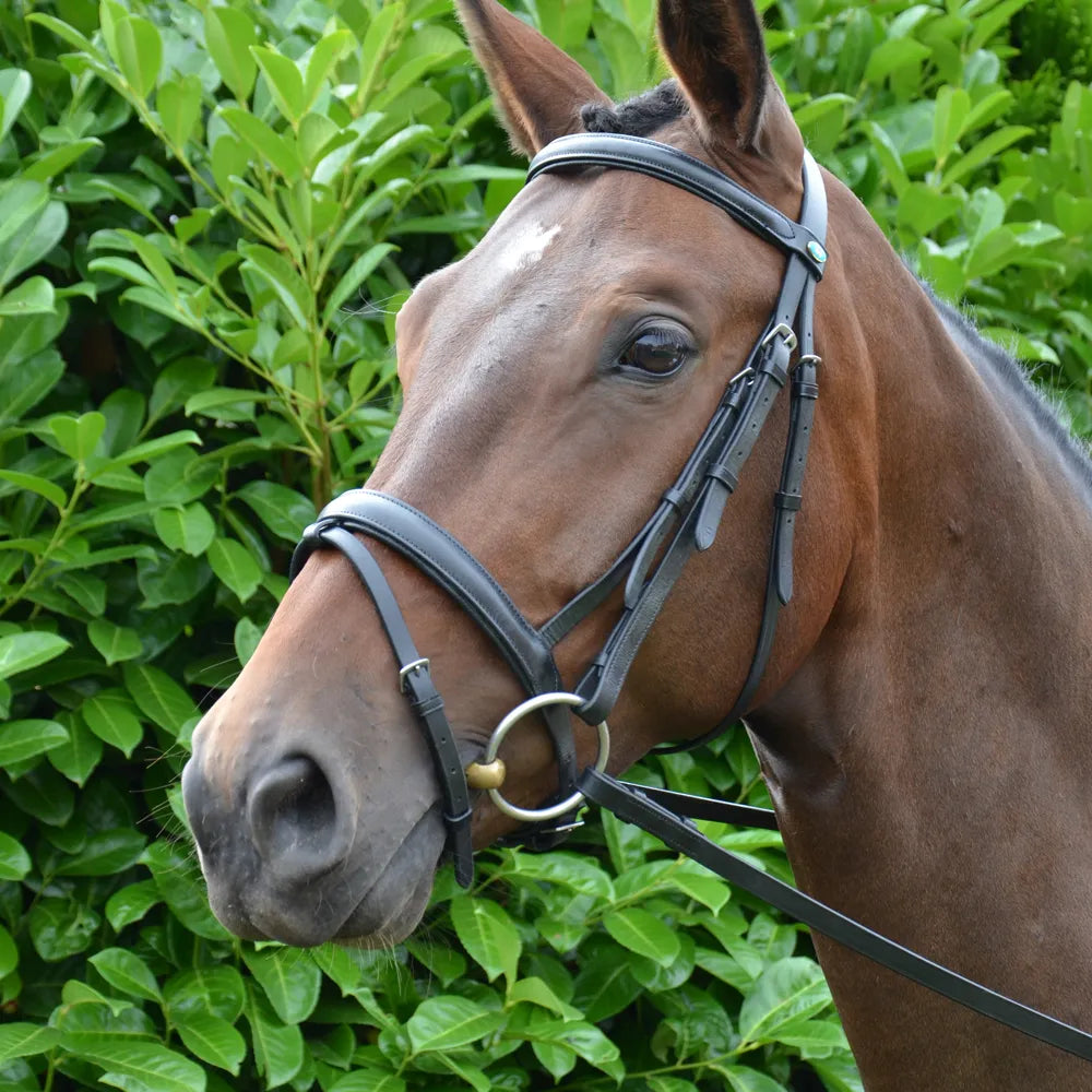 Hy Equestrian Padded Flash Bridle with Rubber Reins