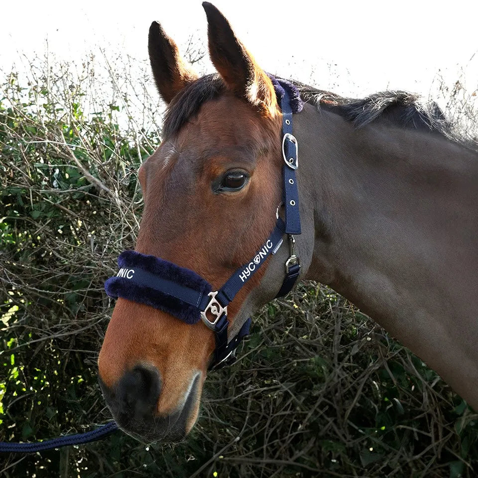 HyConic Faux Fur Head Collar and Lead Rope Set