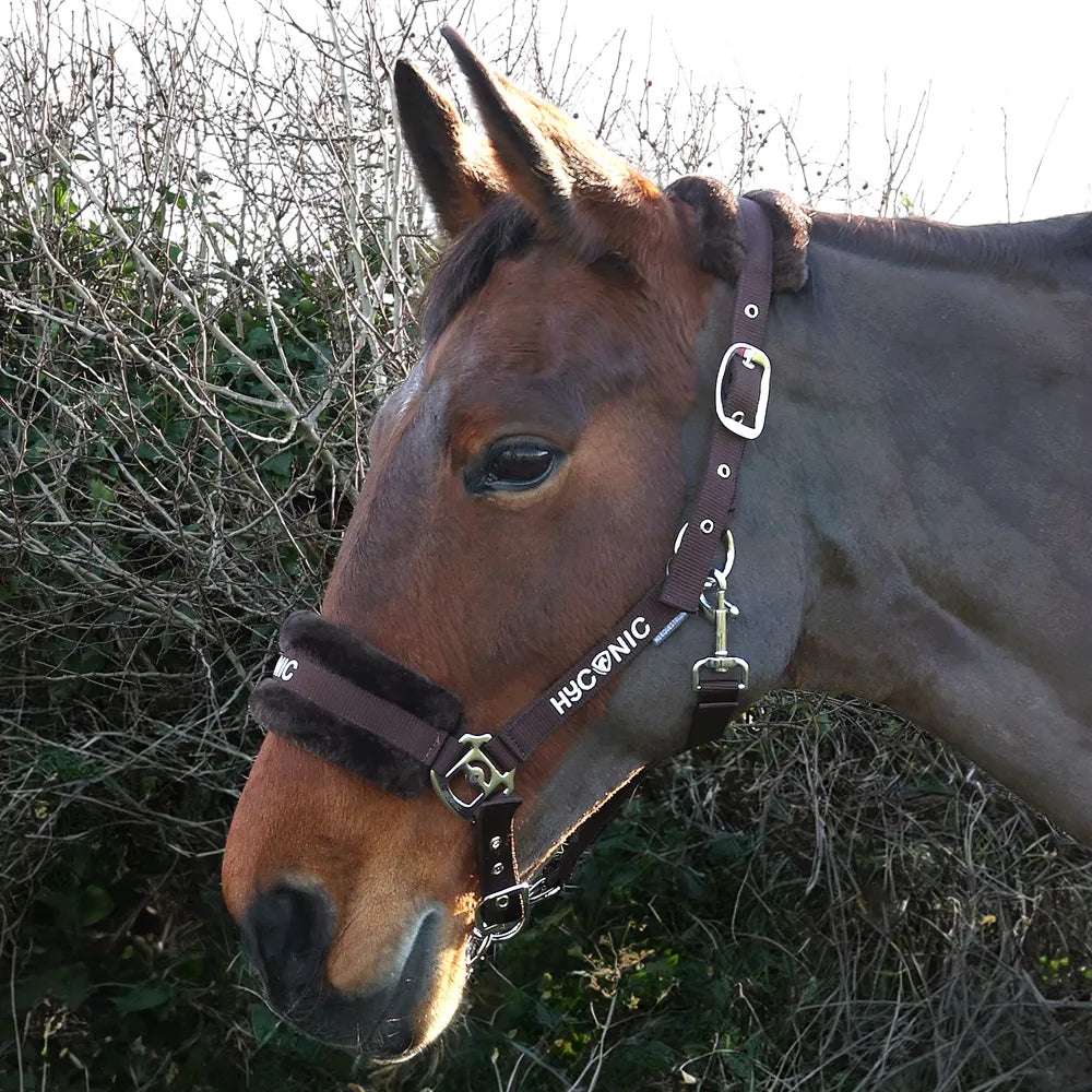 HyConic Faux Fur Head Collar and Lead Rope Set