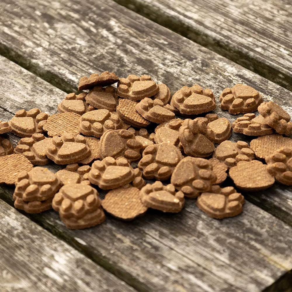 Benji & Flo Little Paws Gut Guardian Digestive Treats- Chicken