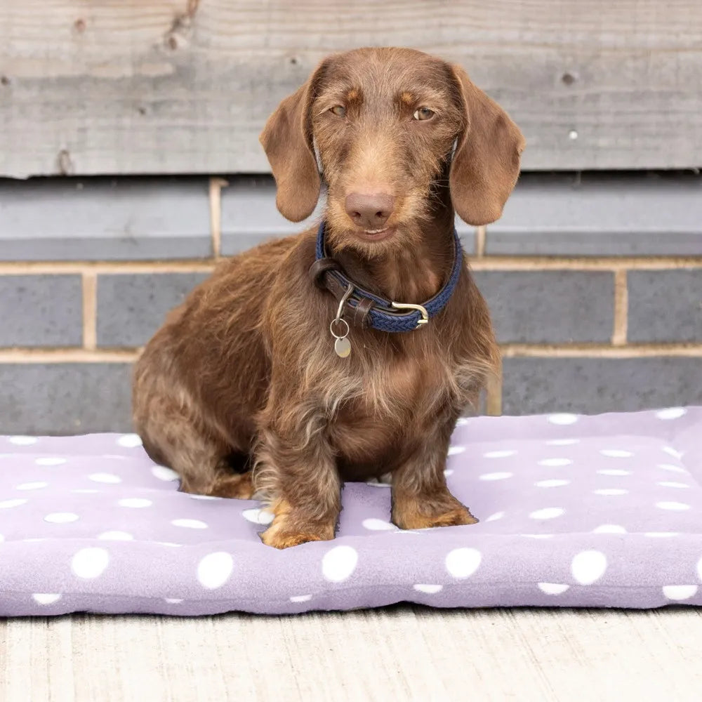 Supreme Products Dotty Fleece Dog Bed- 3 sizes