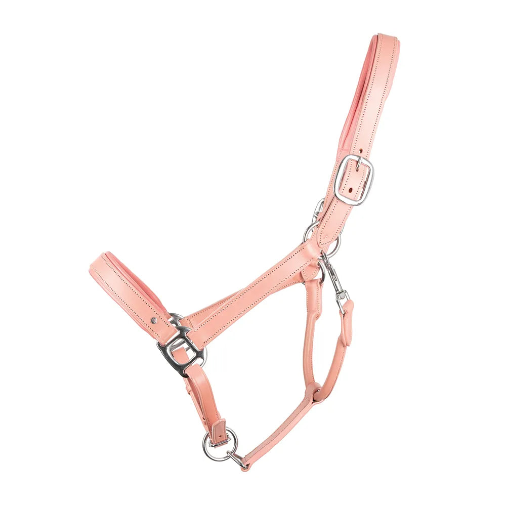 Serena Leather Head Collar- Pink Leather by Little Rider