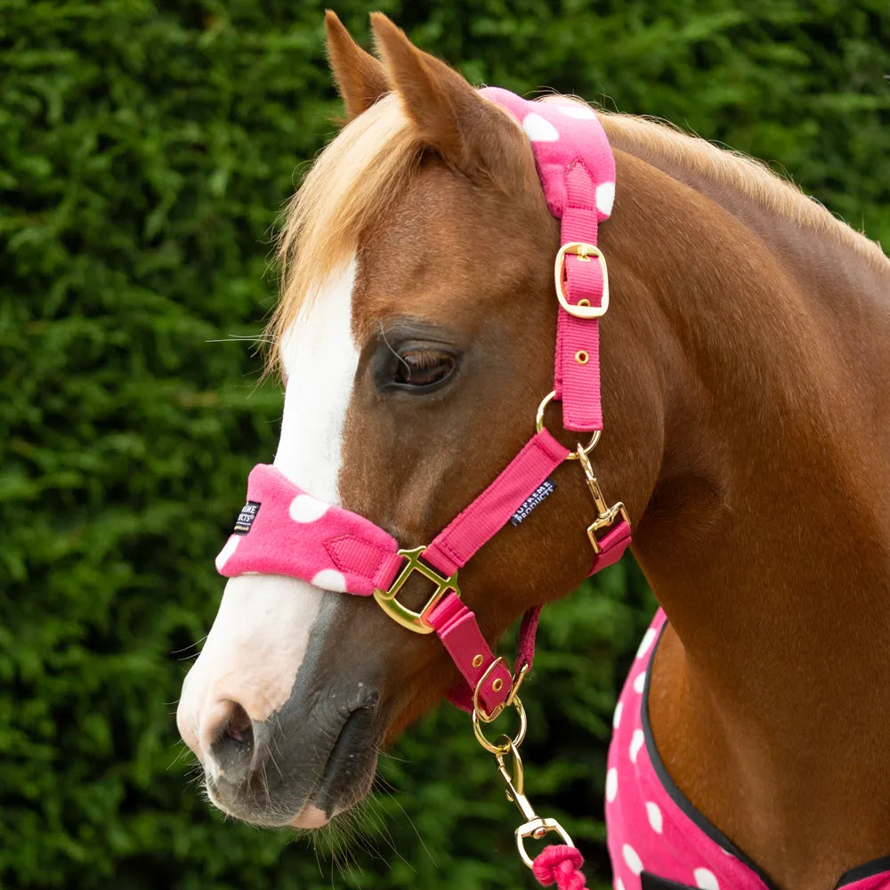 Pink- Supreme Products Dotty Headcollar and Leadrope set