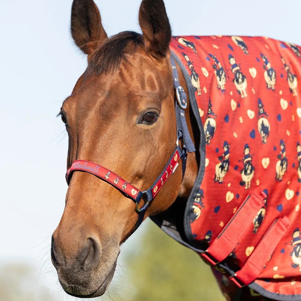 Hy Equestrian Thelwell Balancing Act Head Collar and Lead Rope Set