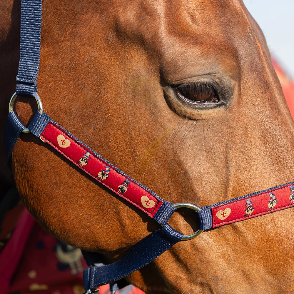 Hy Equestrian Thelwell Balancing Act Head Collar and Lead Rope Set