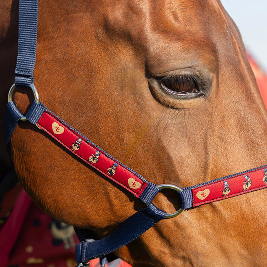 Hy Equestrian Thelwell Balancing Act Head Collar and Lead Rope Set