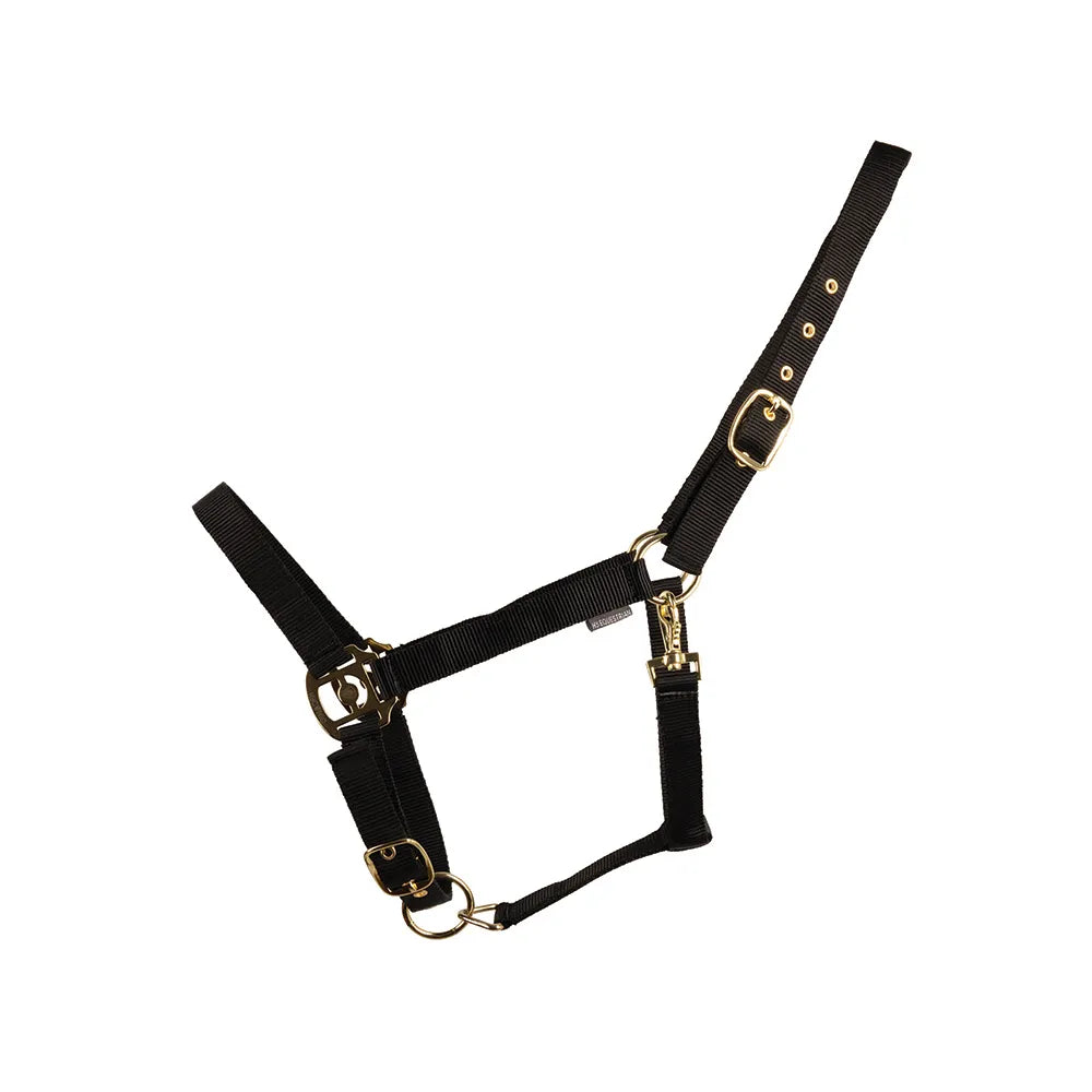 HyConic Head Collar
