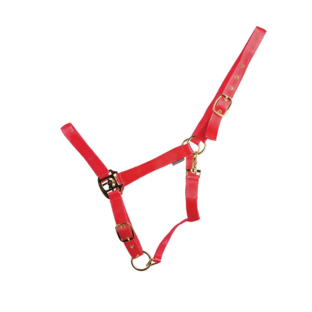 HyConic Head Collar