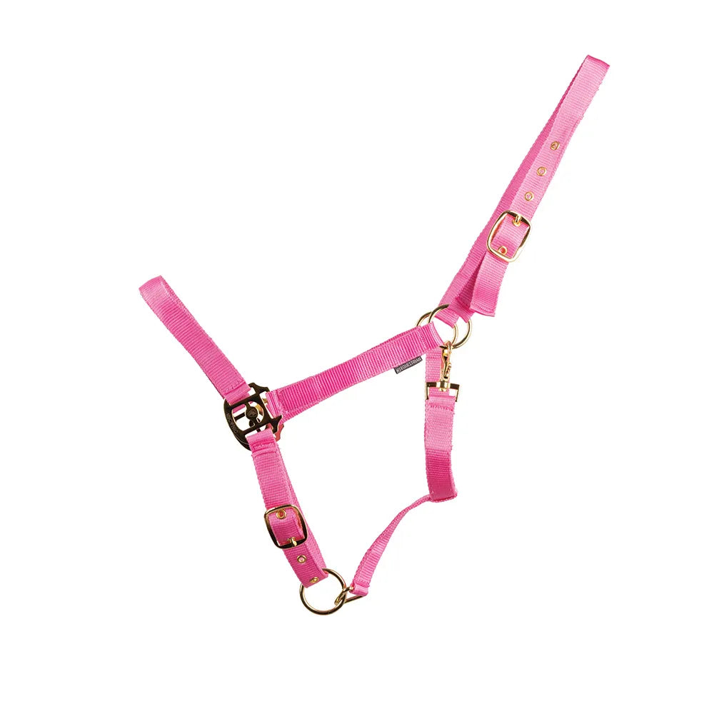 HyConic Head Collar