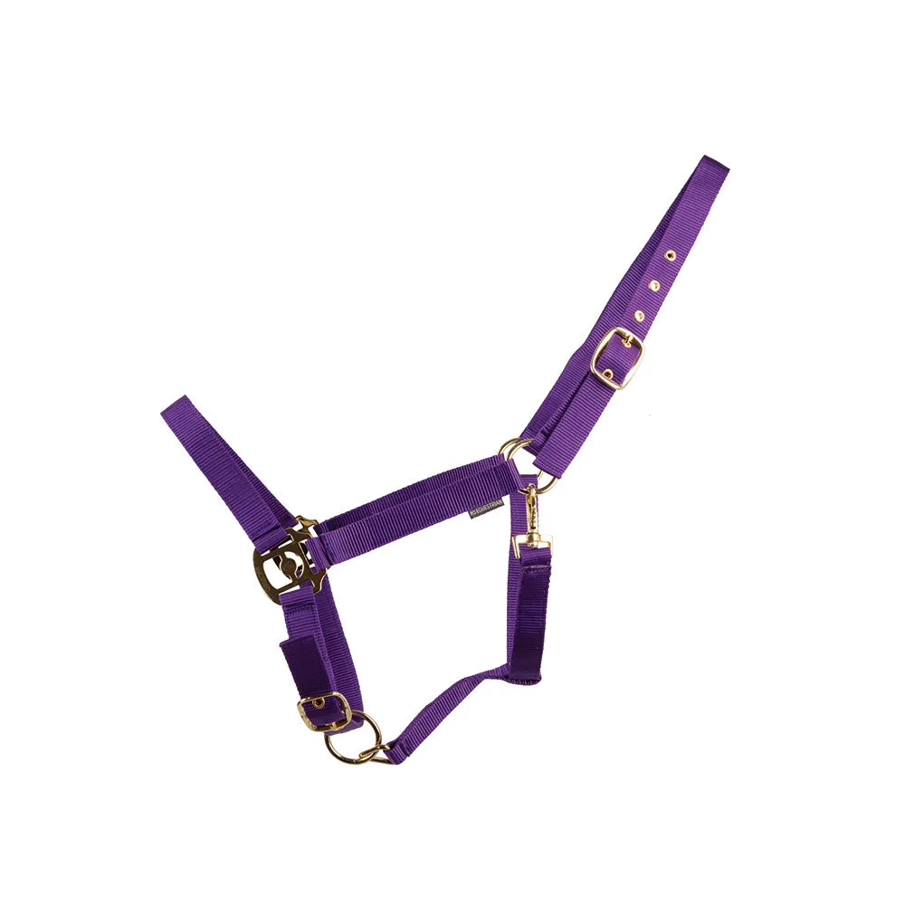 HyConic Head Collar