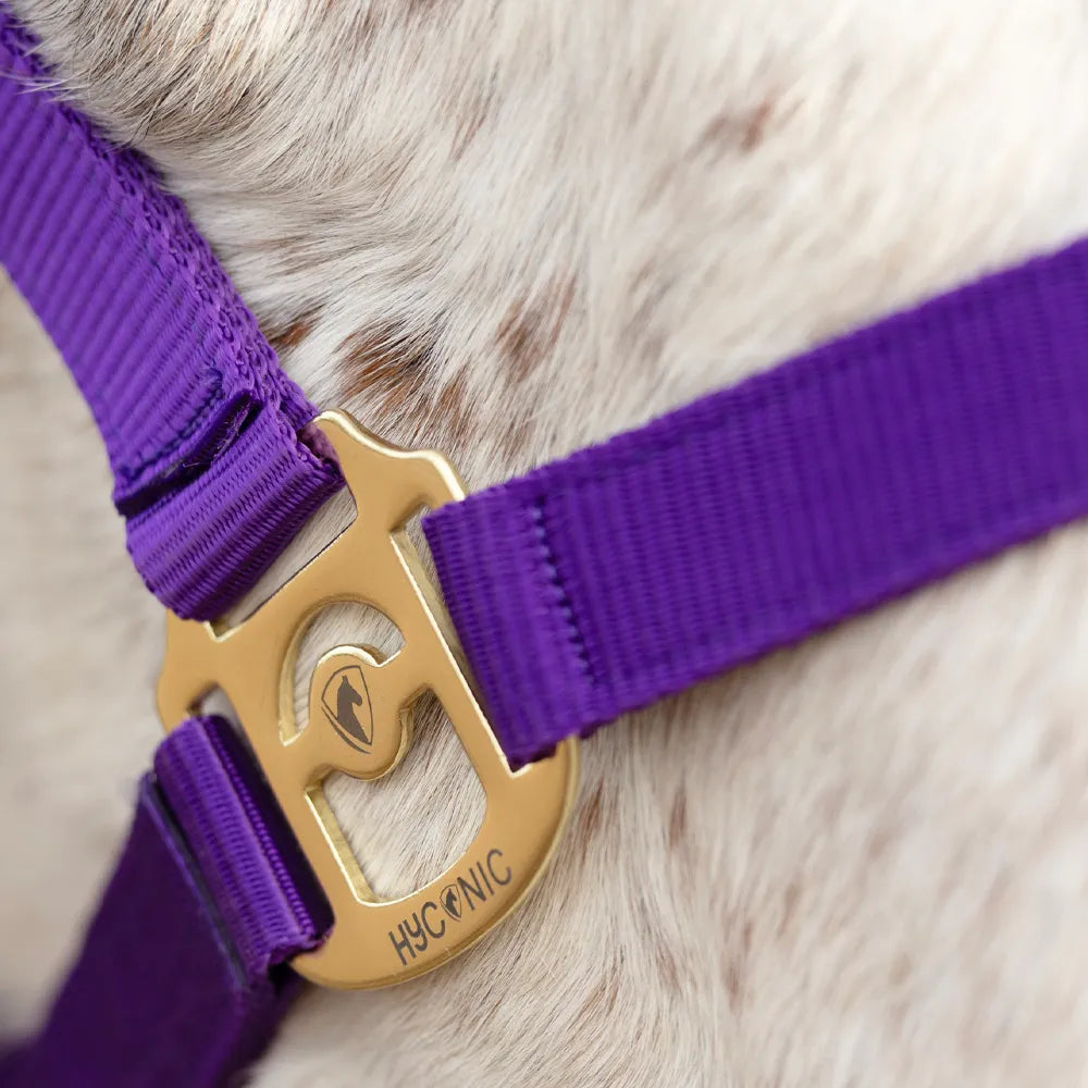 HyConic Head Collar
