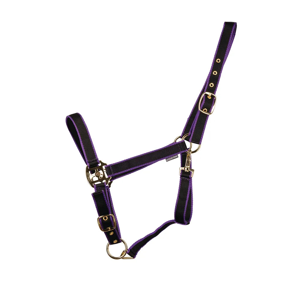 HyConic Head Collar