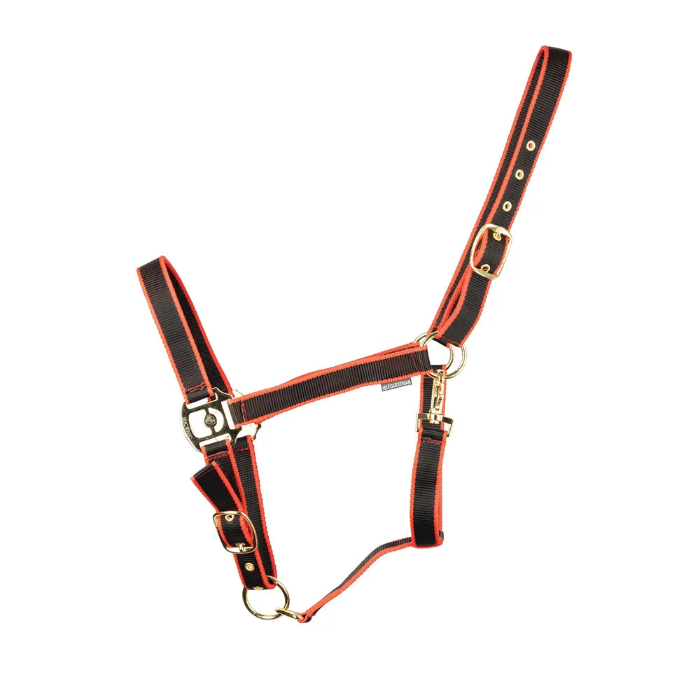 HyConic Head Collar