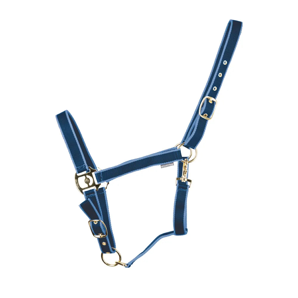 HyConic Head Collar
