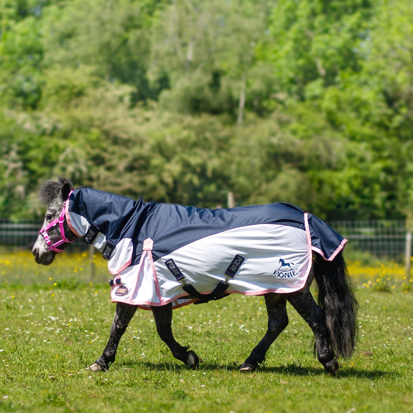 GALLOP PONIE - Hybrid Combo Fly Rug