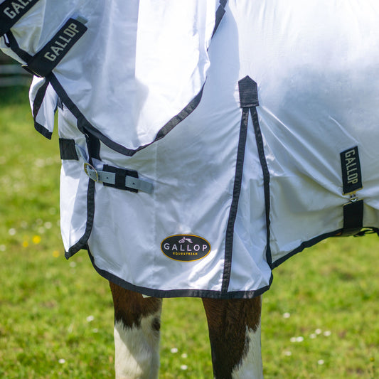 Gallop Classic Fly Combo