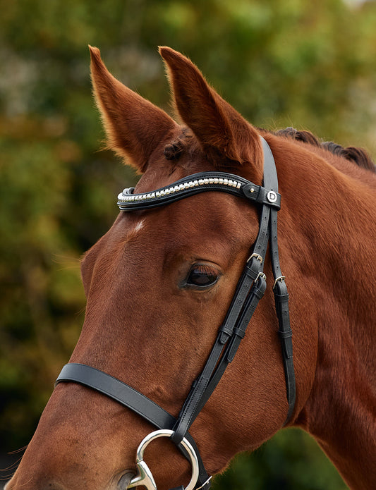 Dublin Clincher Wave Browband