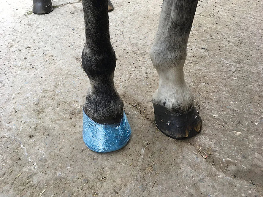 Farrier Cling
