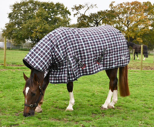 Rhinegold ‘Glacier’ Full Neck Combo Turnout 1000d 320g Rug