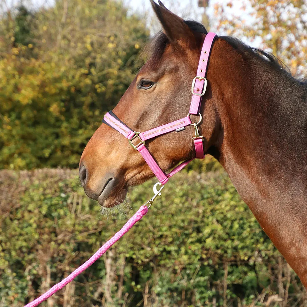 HY Equestrian Sparkling Head Collar and Lead Rope Set