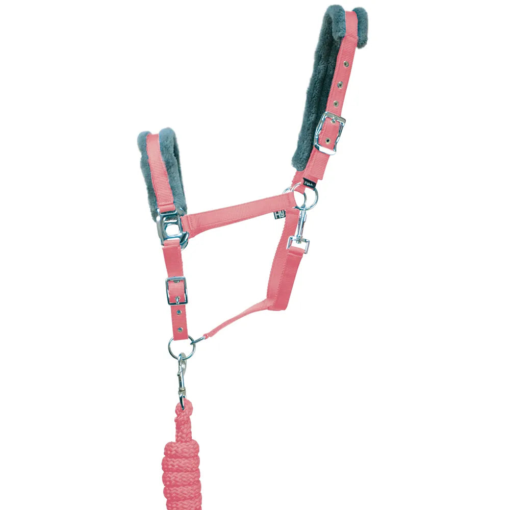 Hy Sport Active Headcollar and Leadrope