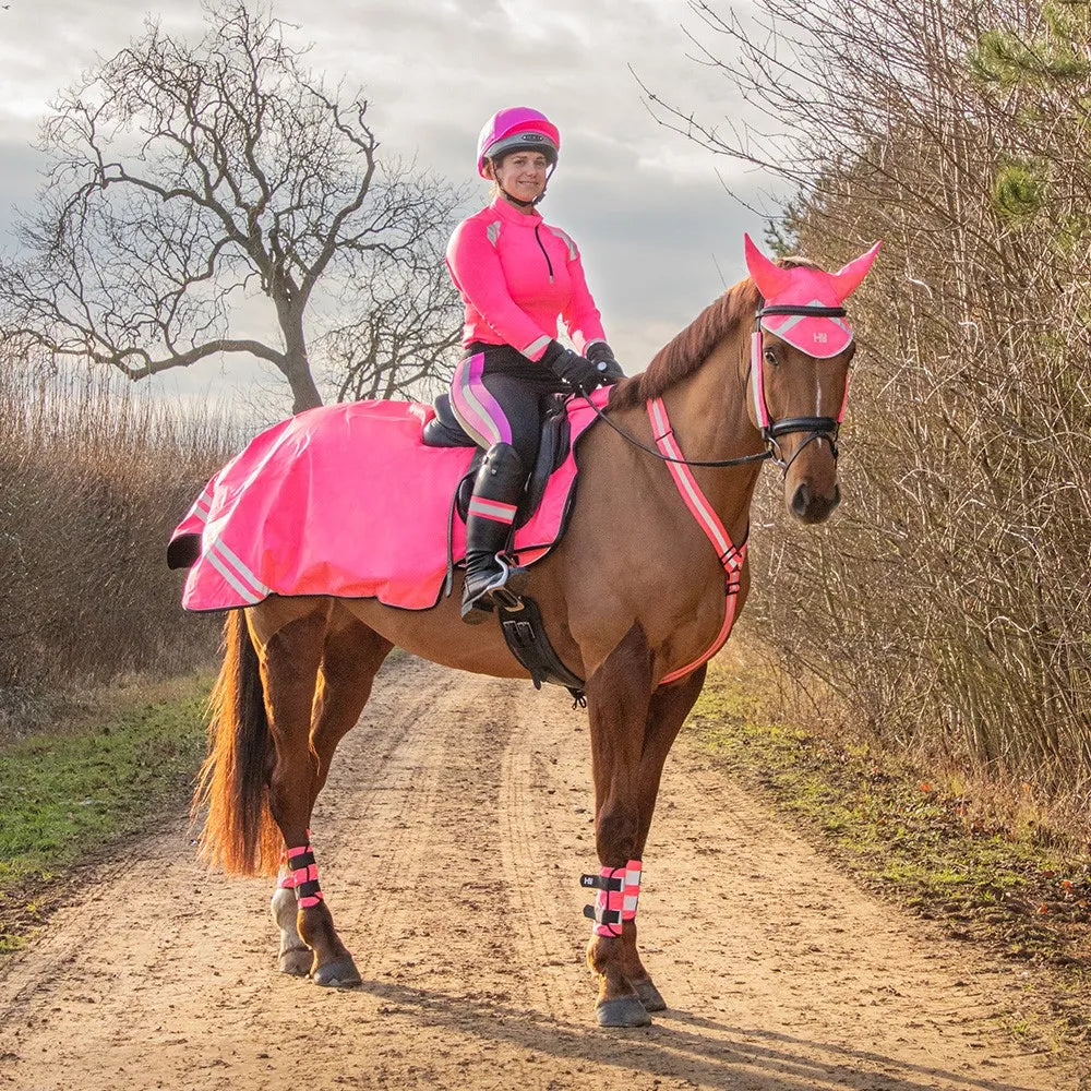Hy Equestrian Reflector Martingale