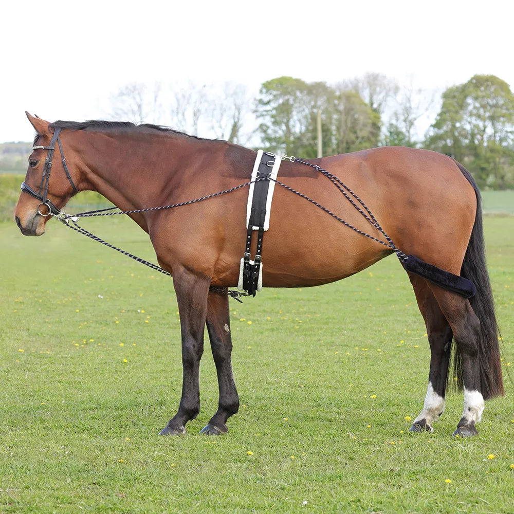HY Equestrian Lunging System