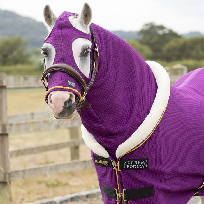SUPREME PRODUCTS Royal Celebration Show Hood - Purple