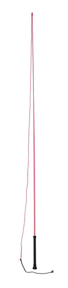 Dublin Brights Lunge Whip