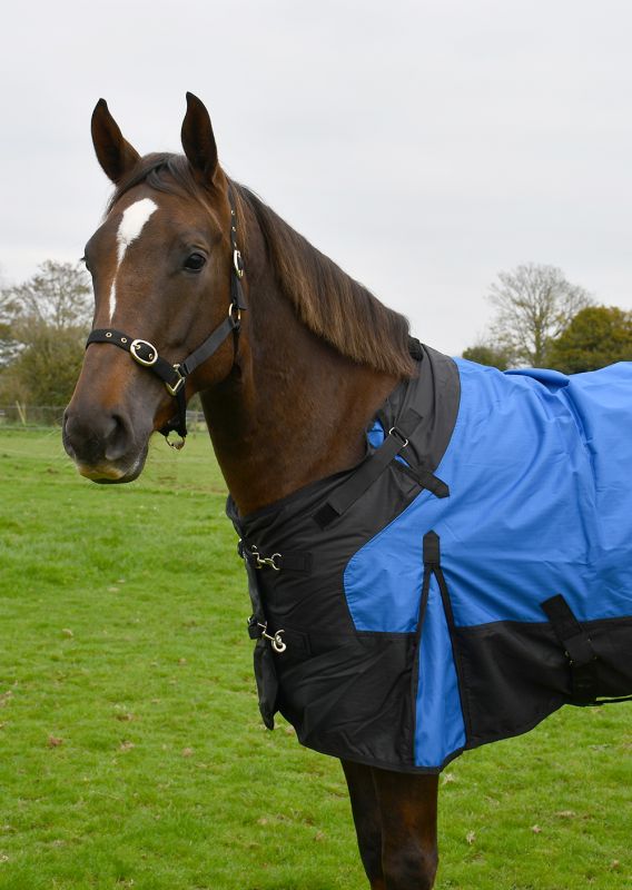 Rhinegold Phoenix Outdoor Rug 50g