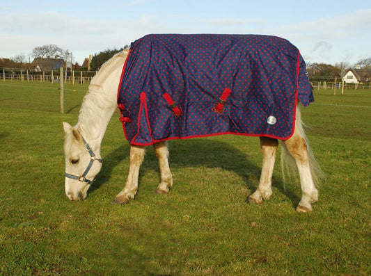 Rhinegold Bolivia Lightweight 0g Turnout Rug