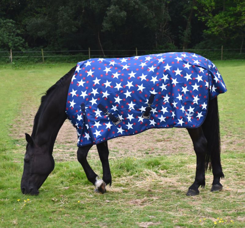 Rhinegold Bolivia Lightweight 0g Turnout Rug