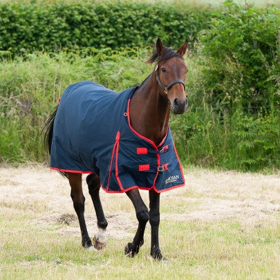 TROJAN 200g Turnout Rug