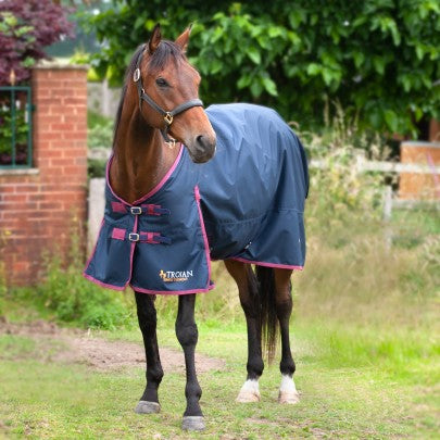 Trojan 50g Turnout Rug- 7ft