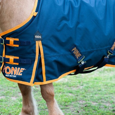 Ponie 100g Turnout rug