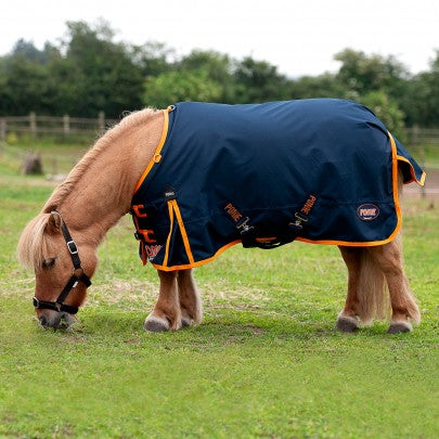 Ponie 100g Turnout rug