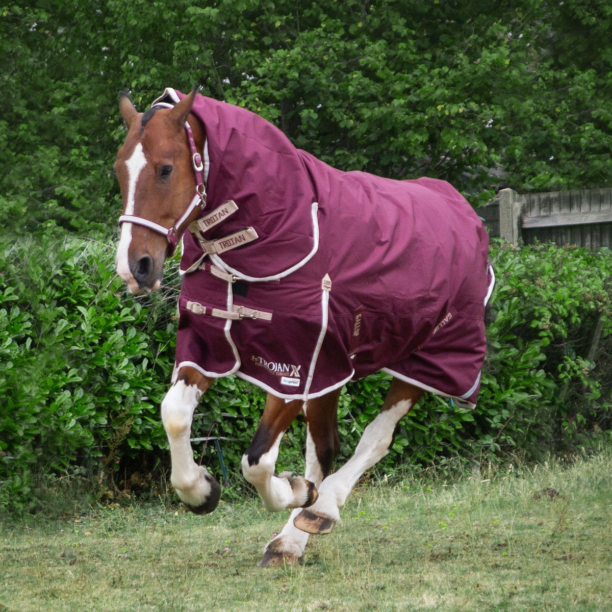GALLOP TROJAN Xtra 100G Duraproof Turnout Combo