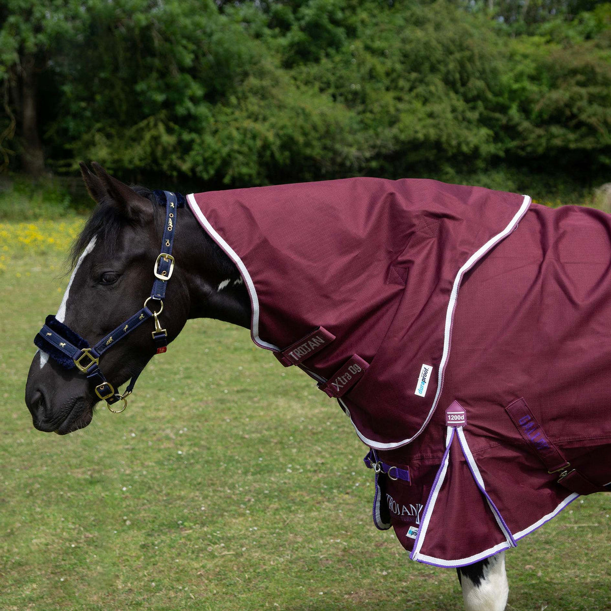 1200D TROJAN Xtra 0g Duraproof 5-Point Turnout