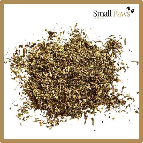 Small Paws Dandelion Leaf