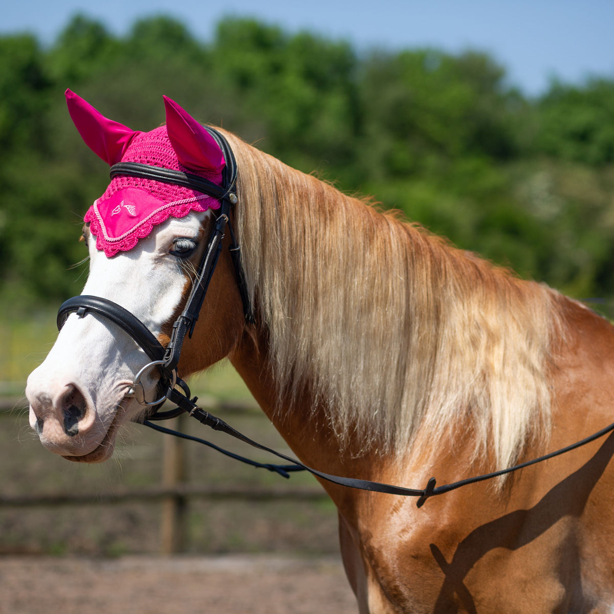 Gallop Classic Fly Veil - Fuchsia