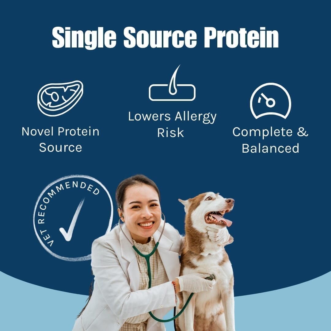 Happy Dog Sensitive Pure Lamb Wet Dog Food (New Zealand)