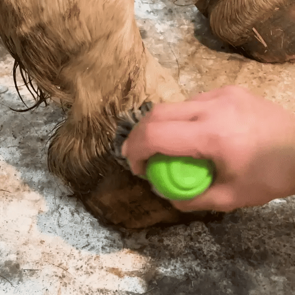 Pet Jet Hoof Jet Brush Cleaner