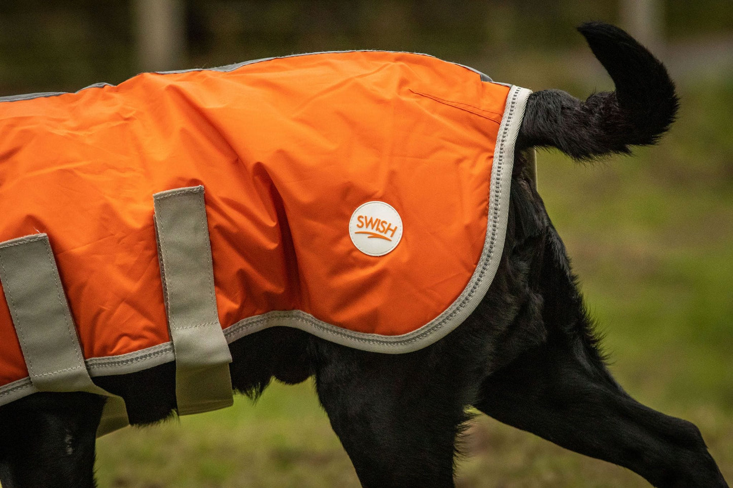 Swish Waterproof Dog Coat - Orange