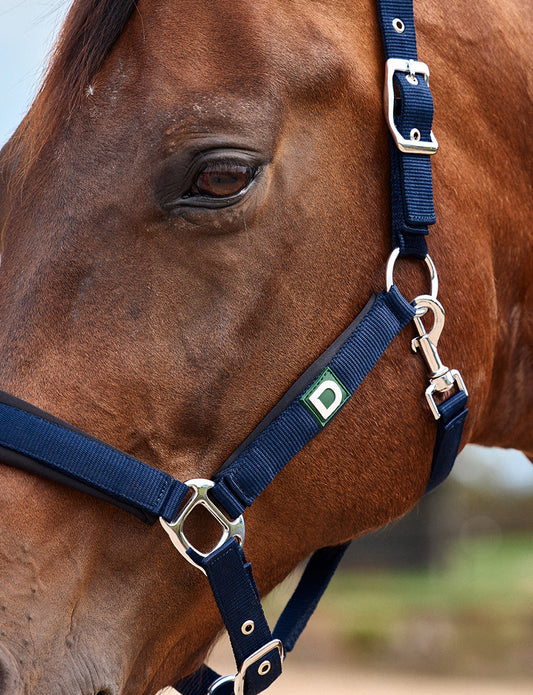 Dublin Neo Comfort Headcollar