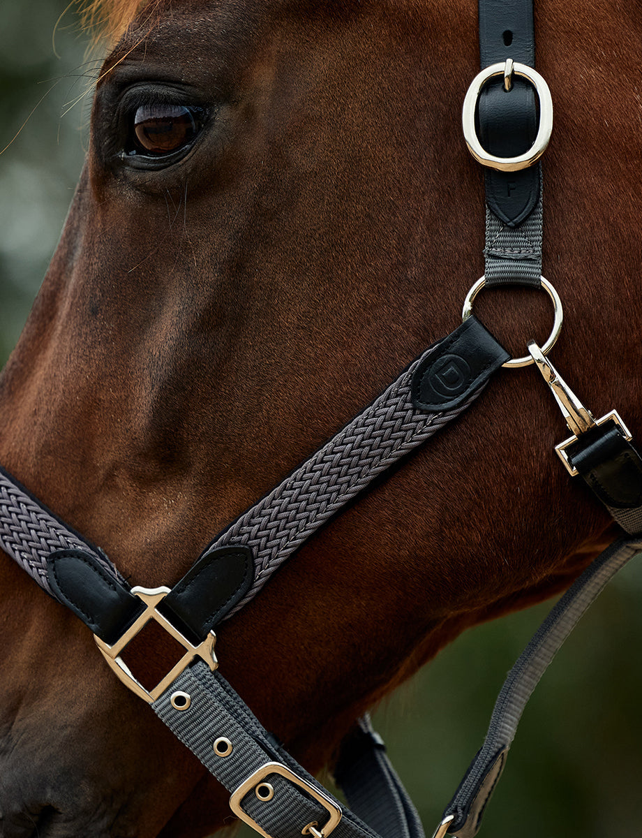 Dublin Braided Leather Headcollar