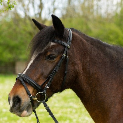 Gallop Black Comfort Bridle with Rubber Reins